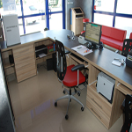 Plants: image 10 0f 37 thumb