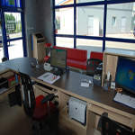 Plants: image 11 0f 37 thumb