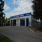 Plants: image 1 0f 6 thumb