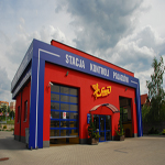 Plants: image 19 0f 37 thumb