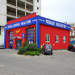 Plants: image 26 0f 37 thumb