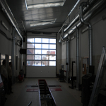 Plants: image 3 0f 37 thumb