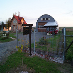 Plants: image 30 0f 37 thumb