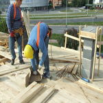 Plants: image 37 0f 37 thumb