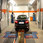 Plants: image 37 0f 37 thumb