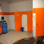 Plants: image 37 0f 37 thumb