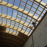 Plants: image 35 0f 37 thumb