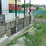 Plants: image 37 0f 37 thumb