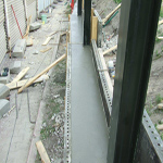 Plants: image 35 0f 37 thumb