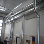 Plants: image 5 0f 37 thumb