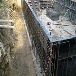 Plants: image 35 0f 37 thumb