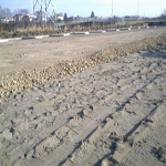 Plants: image 37 0f 37 thumb