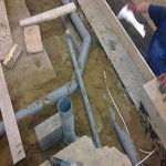 Plants: image 35 0f 37 thumb