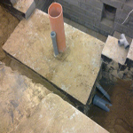 Plants: image 36 0f 37 thumb