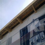 Plants: image 35 0f 37 thumb