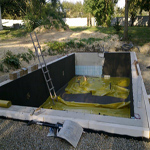 Plants: image 36 0f 37 thumb