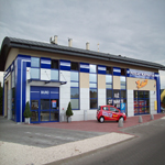 Plants: image 6 0f 37 thumb