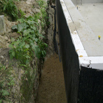 Plants: image 37 0f 37 thumb