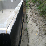 Plants: image 37 0f 37 thumb