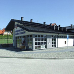 Plants: image 37 0f 37 thumb