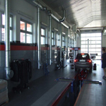 Plants: image 37 0f 37 thumb