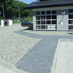 Plants: image 36 0f 37 thumb