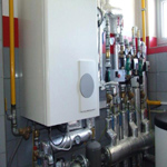 Plants: image 37 0f 37 thumb