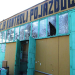 Plants: image 37 0f 37 thumb