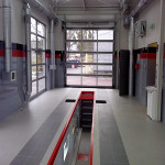 Plants: image 37 0f 37 thumb