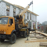 Plants: image 9 0f 37 thumb